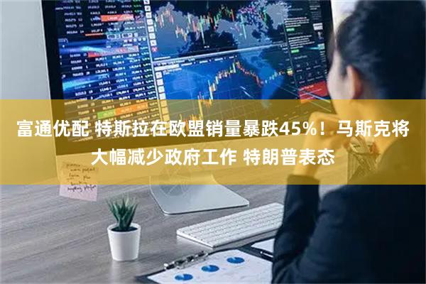 富通优配 特斯拉在欧盟销量暴跌45%!马斯克将大幅减少政府工作 特朗普表态