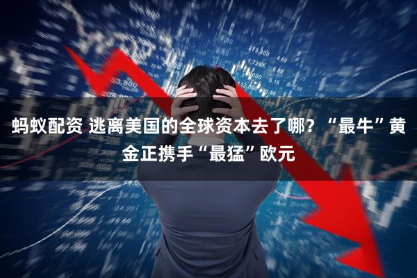蚂蚁配资 逃离美国的全球资本去了哪?“最牛”黄金正携手“最猛”欧元