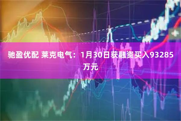 驰盈优配 莱克电气：1月30日获融资买入93285万元